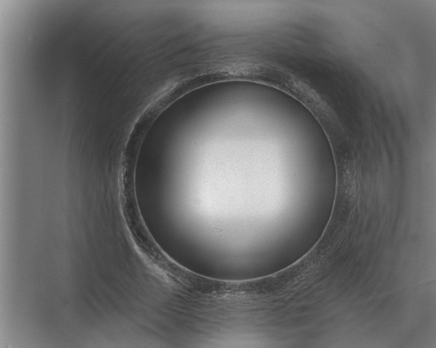 X0000073540730200608141051