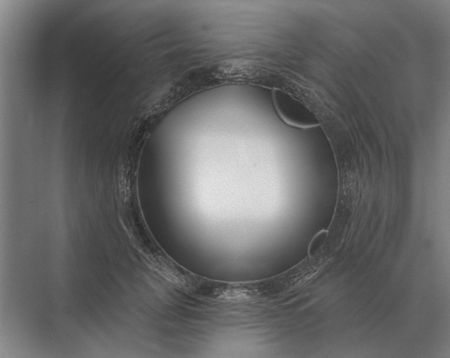 X0000073540751200608141052