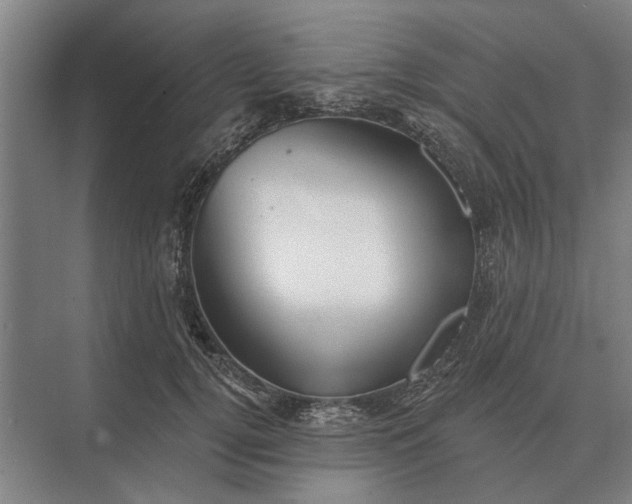 X0000073540752200608141052