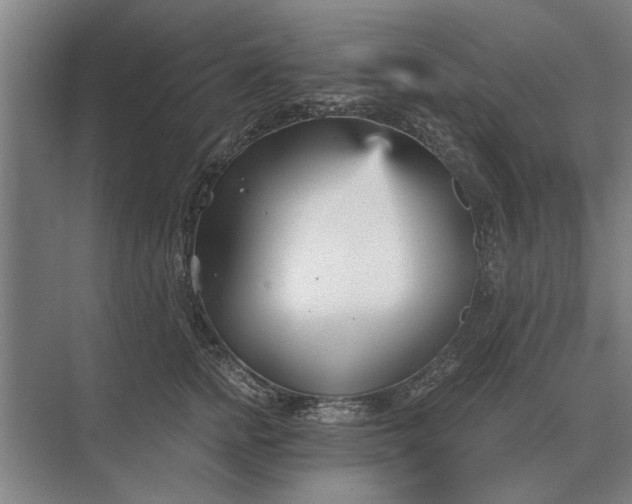 X0000073540758200608141052
