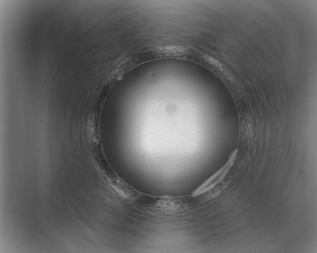 X0000073540764200608141052