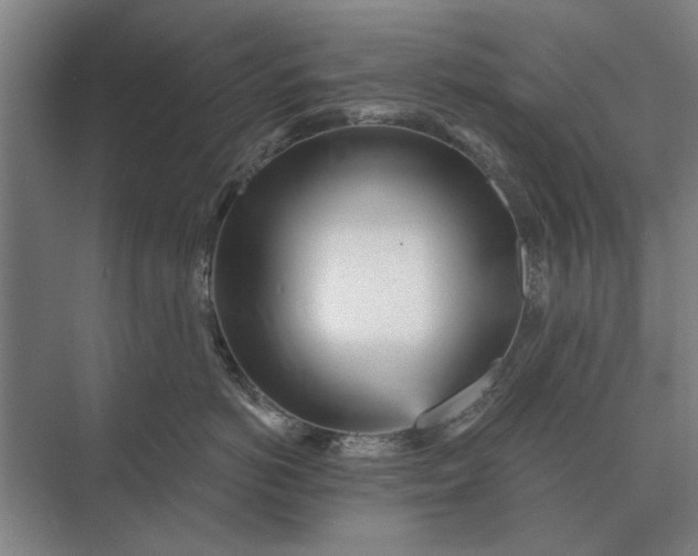 X0000073540766200608141052