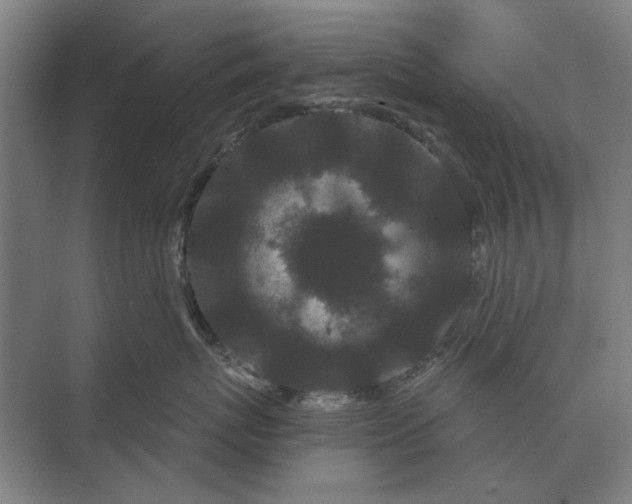 X0000073540767200608141052