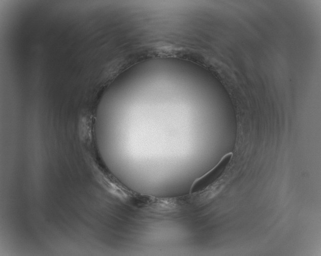 X0000073540768200608141052