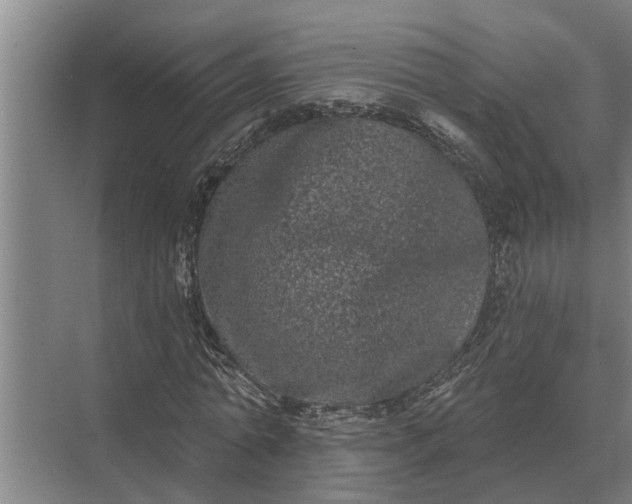 X0000073540774200608141051