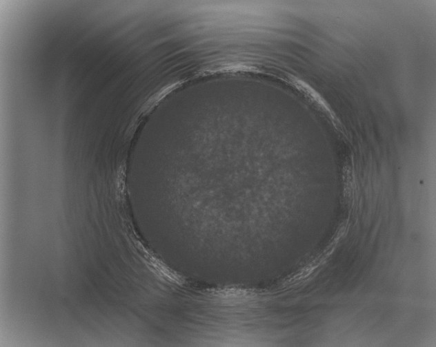 X0000073540785200608141051
