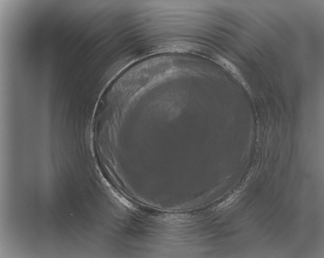 X0000073540802200608141051
