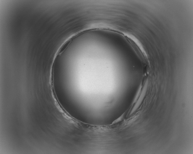 X0000073540815200608141050