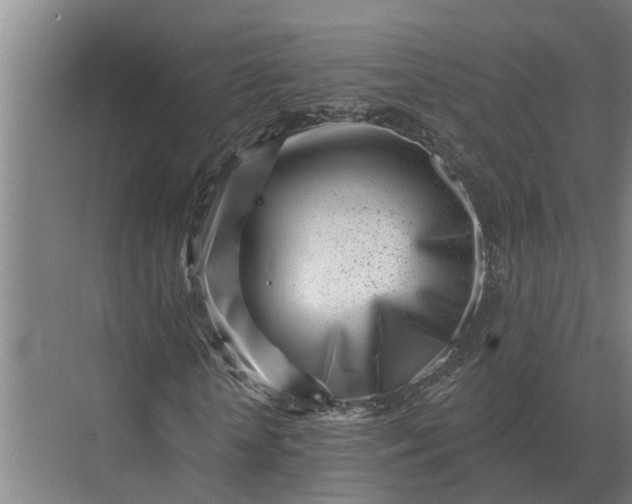 X0000073540818200608141050