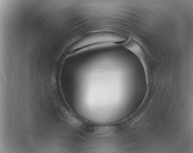 X0000073540826200608141050