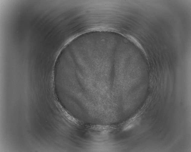 X0000073540831200608141050