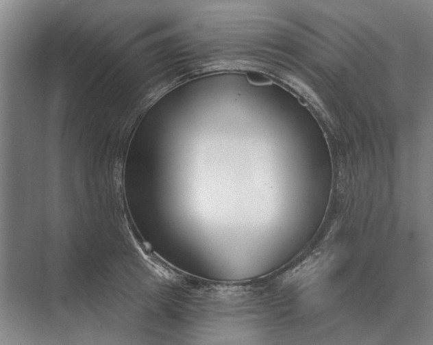 X0000073540849200608141050