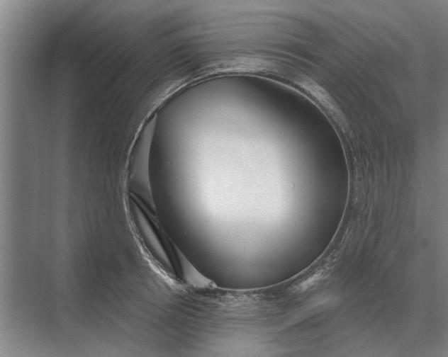 X0000073540850200608141050