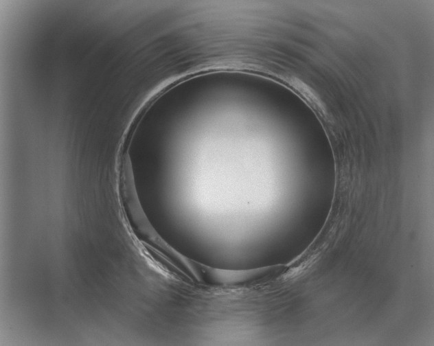 X0000073540854200608141050