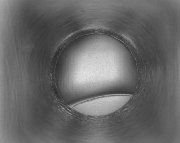 X0000073540872200608141049
