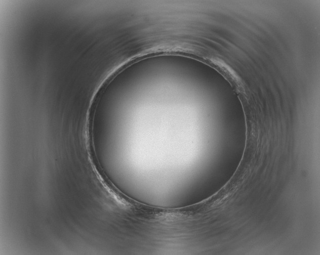 X0000073540894200608141049