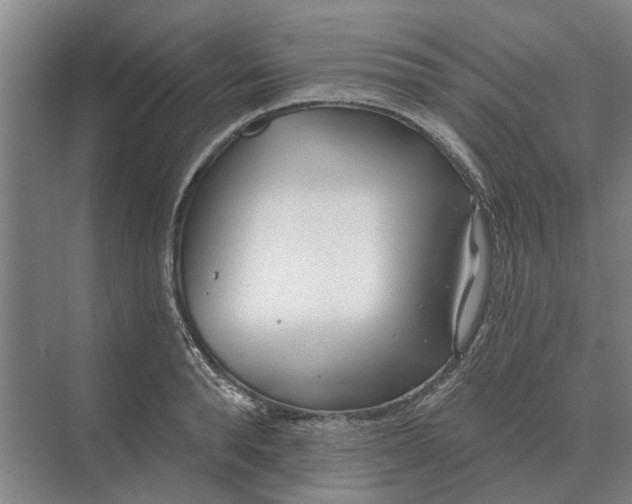X0000073540896200608141049