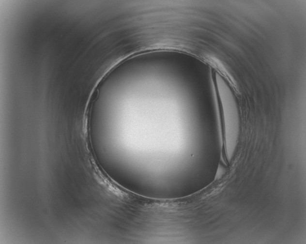 X0000073540900200608141049
