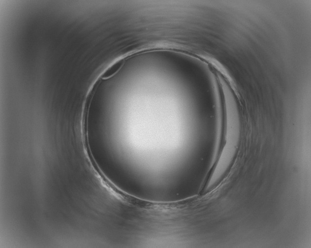 X0000073540910200608141049