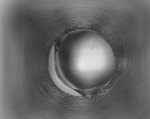 X0000073540916200608141048