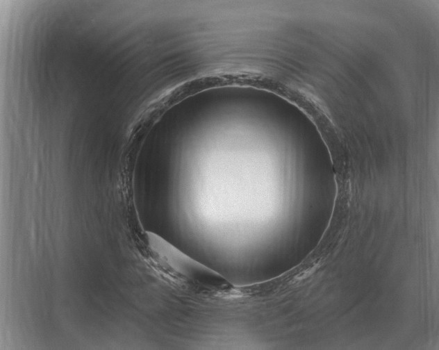 X0000073540920200608141048