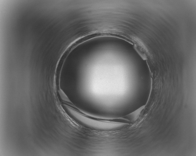 X0000073540932200608141048