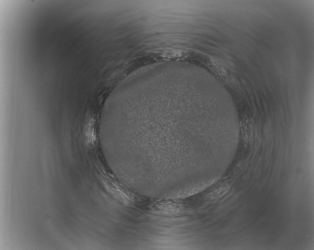 X0000073540962200608141048