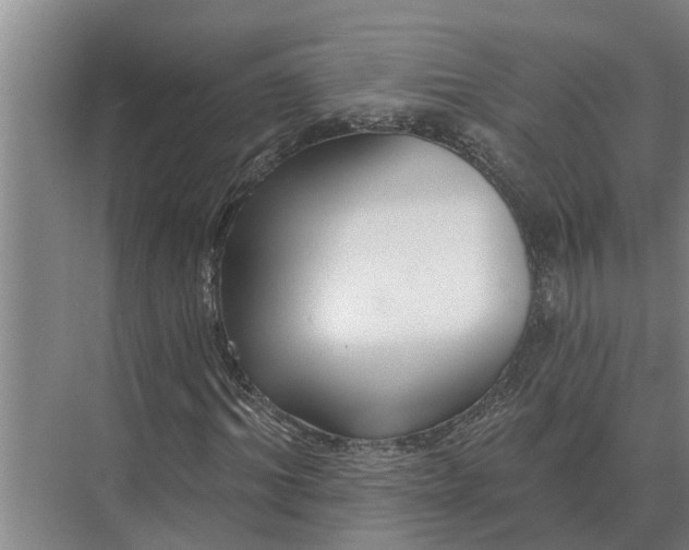 X0000073540964200608141048