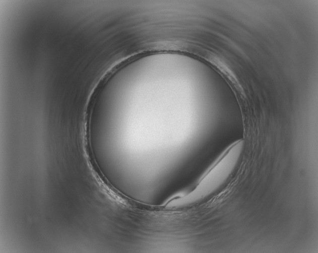 X0000073540992200608141047
