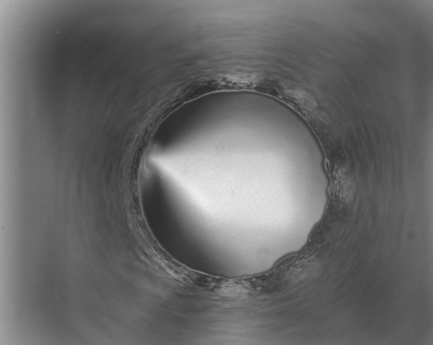 X0000073541009200608141046