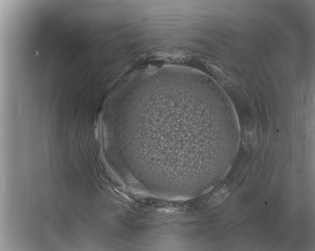 X0000073541010200608141046