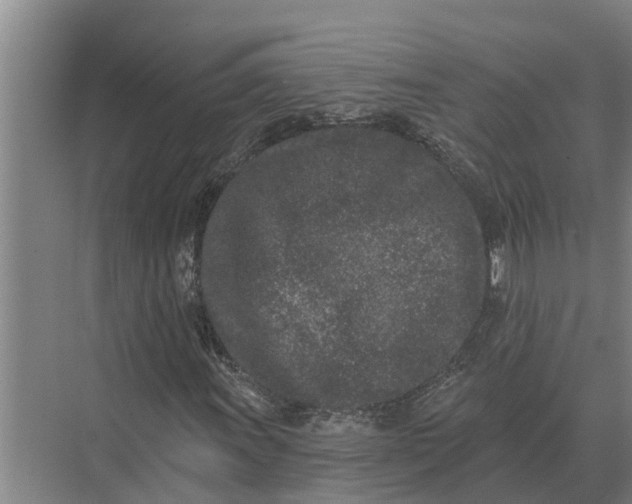 X0000073541011200608141046