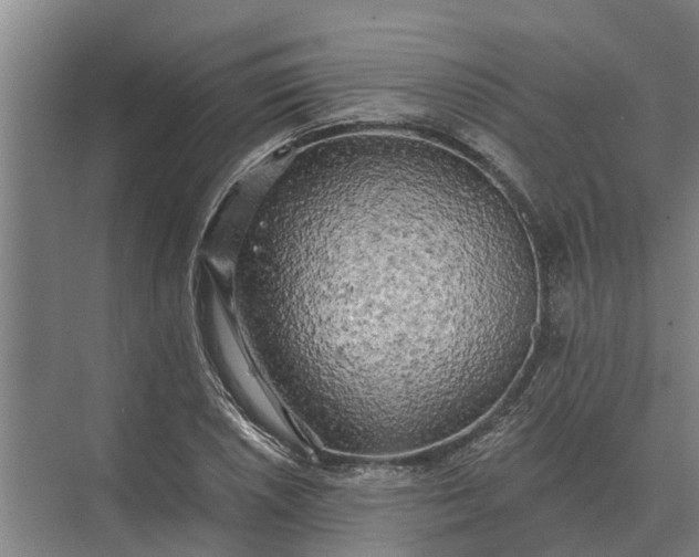 X0000073541026200608141047