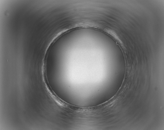 X0000073541040200608141047