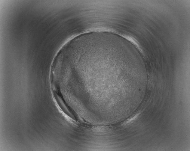 X0000073541046200608141047
