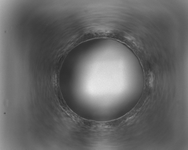 X0000073541061200608141046