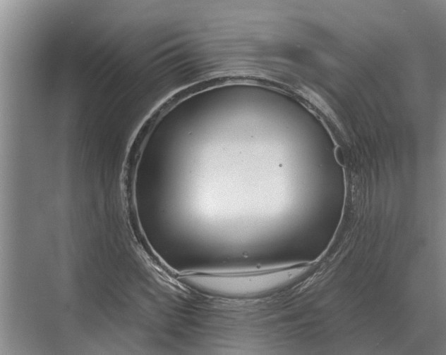 X0000073541068200608141046