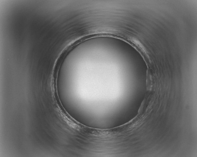 X0000073541072200608141046