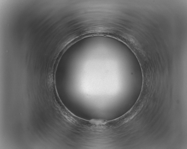 X0000073541073200608141046