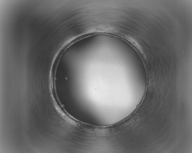 X0000073541080200608141046