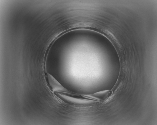 X0000073541081200608141046