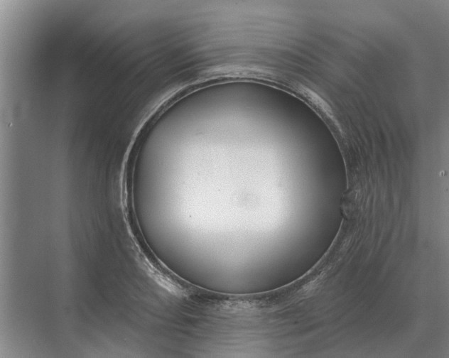 X0000073541082200608141046