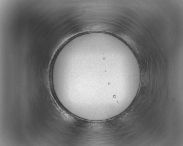 X0000073541086200608141046