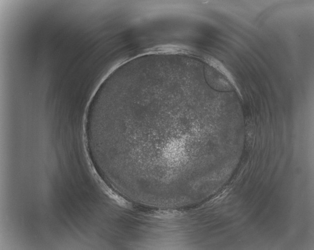 X0000073541091200608141046