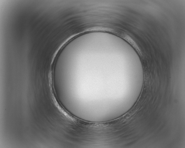 X0000073541092200608141046