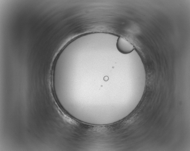 X0000073541094200608141046