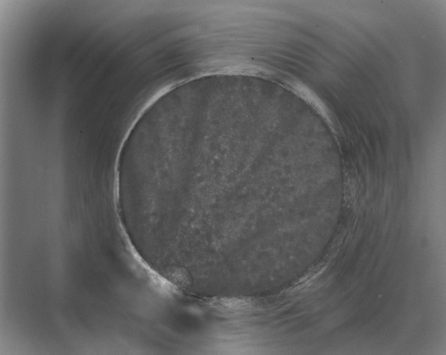 X0000073541095200608141046