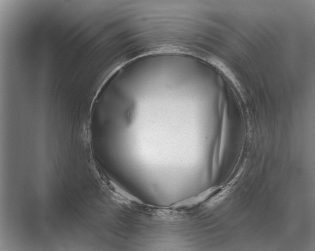X0000073541097200608141046