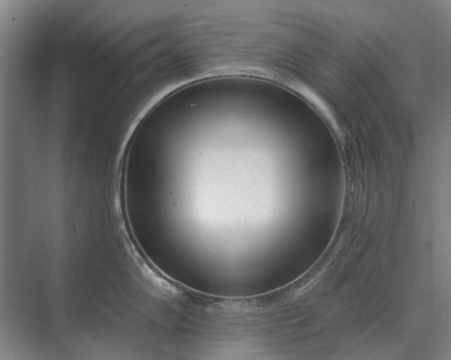 X0000073541102200608141046