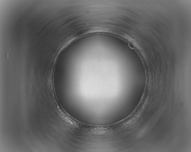 X0000073541137200608141045